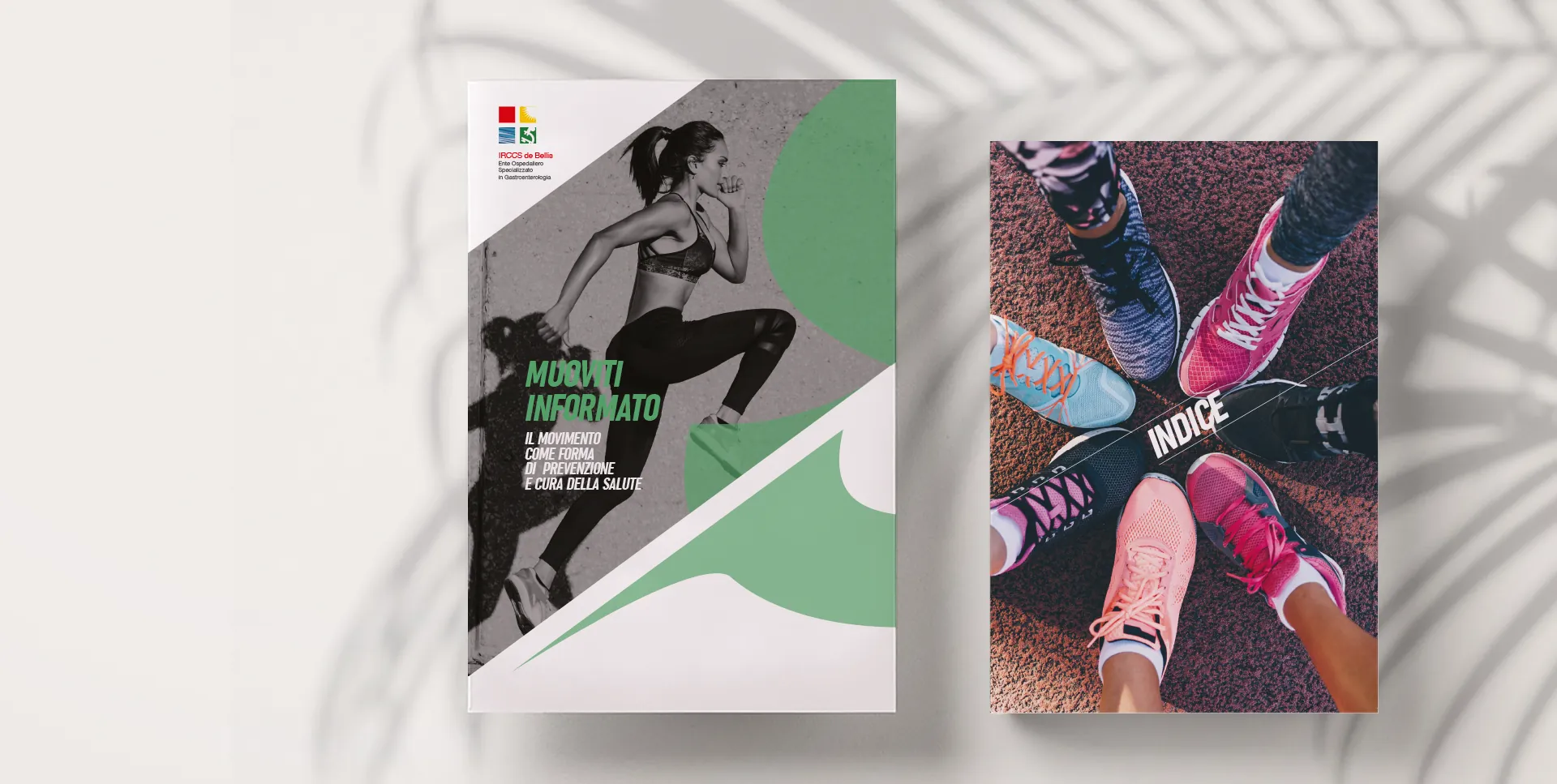 De Bellis: scienza in movimento